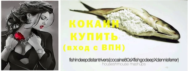 стафф Бородино