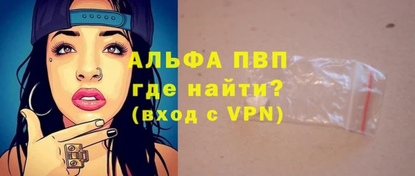 сатива Бронницы