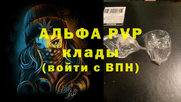 стафф Бородино