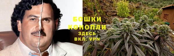 сатива Бронницы