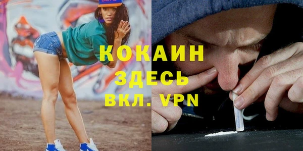 сатива Бронницы