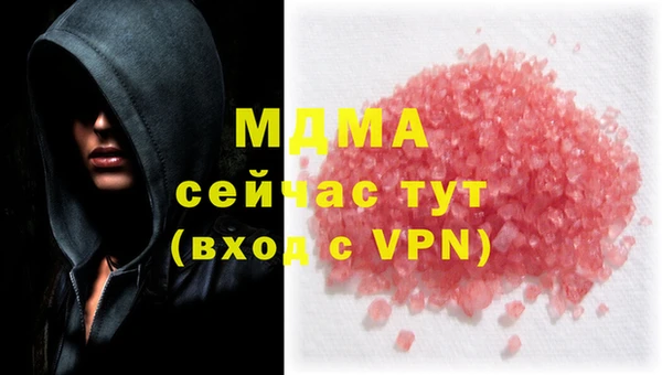 стафф Бородино